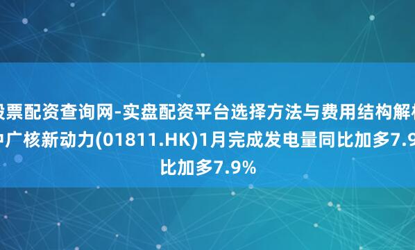 股票配资查询网-实盘配资平台选择方法与费用结构解析 中广核新动力(01811.HK)1月完成发电量同比加多7.9%