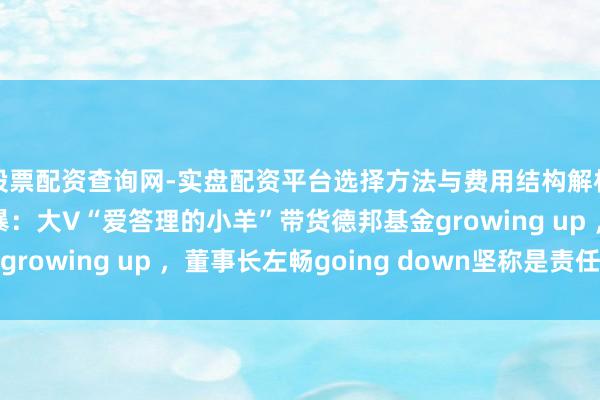 股票配资查询网-实盘配资平台选择方法与费用结构解析 蛇年终末的基金风暴：大V“爱答理的小羊”带货德邦基金growing up ，董事长左畅going down坚称是责任革新