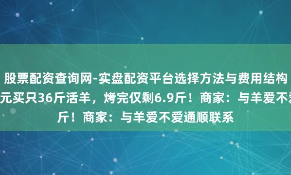 股票配资查询网-实盘配资平台选择方法与费用结构解析 1188元买只36斤活羊，烤完仅剩6.9斤！商家：与羊爱不爱通顺联系