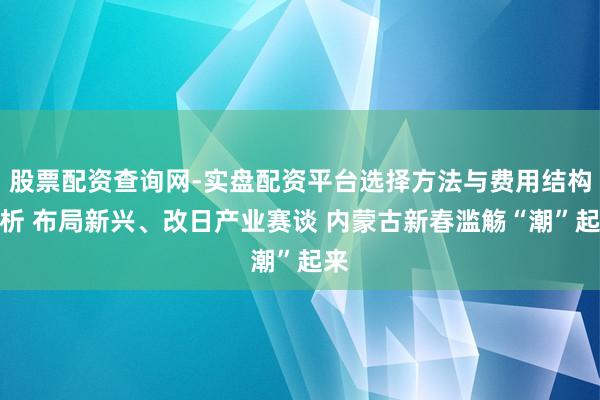 股票配资查询网-实盘配资平台选择方法与费用结构解析 布局新兴、改日产业赛谈 内蒙古新春滥觞“潮”起来