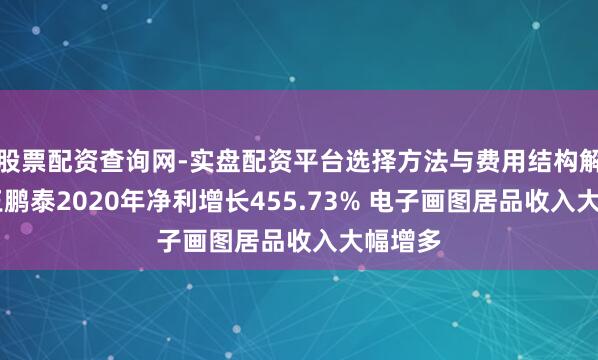 股票配资查询网-实盘配资平台选择方法与费用结构解析 汉王鹏泰2020年净利增长455.73% 电子画图居品收入大幅增多