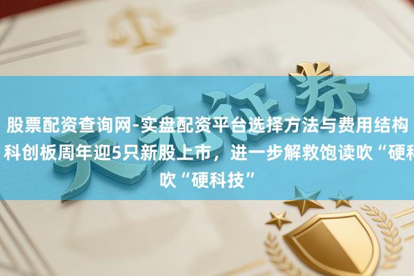 股票配资查询网-实盘配资平台选择方法与费用结构解析 科创板周年迎5只新股上市，进一步解救饱读吹“硬科技”