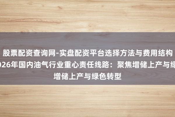 股票配资查询网-实盘配资平台选择方法与费用结构解析 2026年国内油气行业重心责任线路：聚焦增储上产与绿色转型