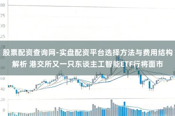 股票配资查询网-实盘配资平台选择方法与费用结构解析 港交所又一只东谈主工智能ETF行将面市