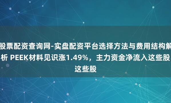 股票配资查询网-实盘配资平台选择方法与费用结构解析 PEEK材料见识涨1.49%，主力资金净流入这些股