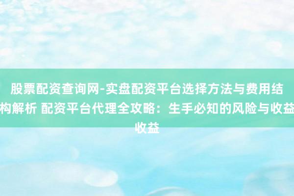 股票配资查询网-实盘配资平台选择方法与费用结构解析 配资平台代理全攻略：生手必知的风险与收益