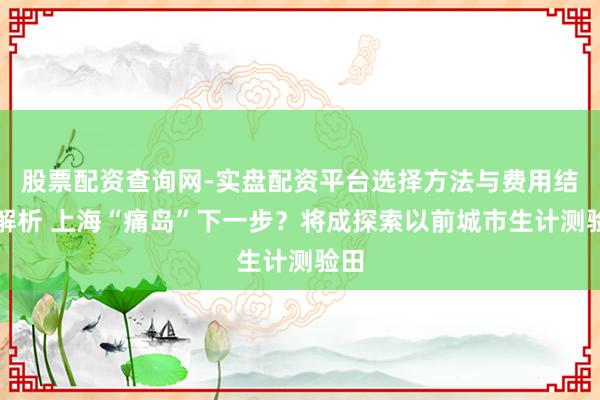 股票配资查询网-实盘配资平台选择方法与费用结构解析 上海“痛岛”下一步？将成探索以前城市生计测验田