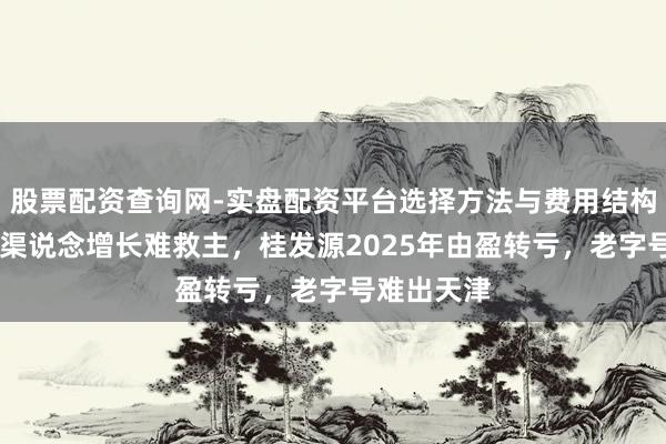 股票配资查询网-实盘配资平台选择方法与费用结构解析 电商渠说念增长难救主，桂发源2025年由盈转亏，老字号难出天津