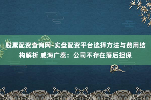 股票配资查询网-实盘配资平台选择方法与费用结构解析 威海广泰：公司不存在落后担保
