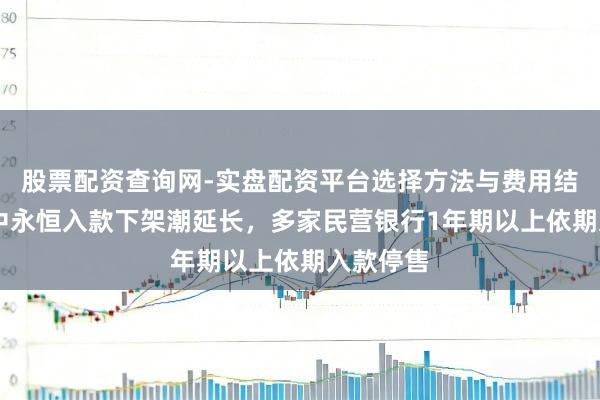 股票配资查询网-实盘配资平台选择方法与费用结构解析 中永恒入款下架潮延长，多家民营银行1年期以上依期入款停售