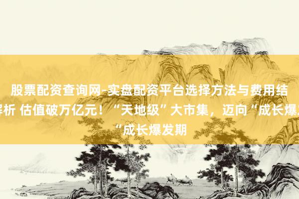股票配资查询网-实盘配资平台选择方法与费用结构解析 估值破万亿元！“天地级”大市集，迈向“成长爆发期