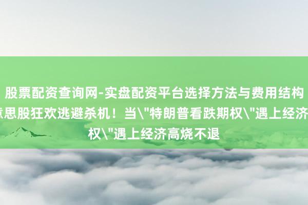 股票配资查询网-实盘配资平台选择方法与费用结构解析 好意思股狂欢逃避杀机！当
