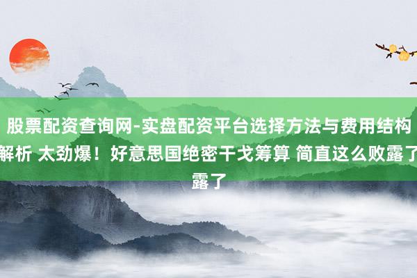 股票配资查询网-实盘配资平台选择方法与费用结构解析 太劲爆！好意思国绝密干戈筹算 简直这么败露了